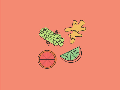 Fruits cane design fruit ginger grapefruit icon illustration lime sugar