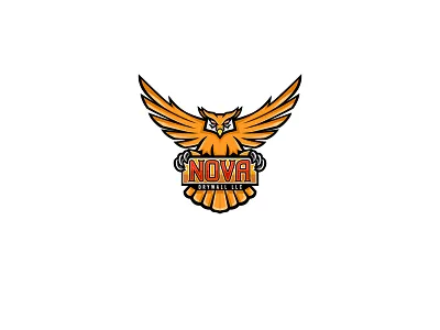 Nova Drywall eagle owl horned owl owl spread wings