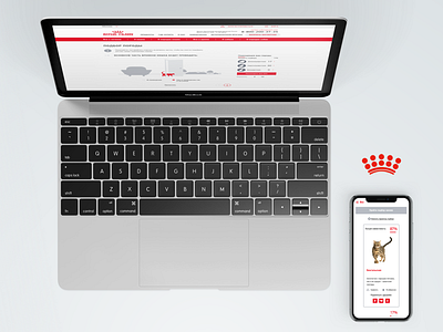 Royal Canin Breed Finder breed kitten puppy royal canin ui ux web