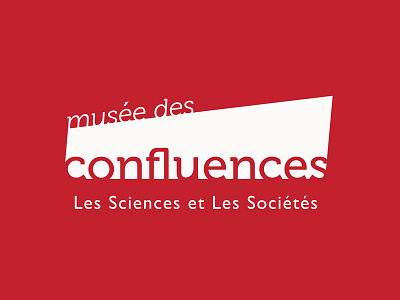 Musee Des Confluences branding identity logo