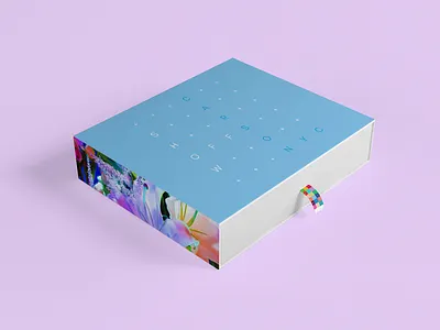 Carson Box box fashion handbag packaging pastel