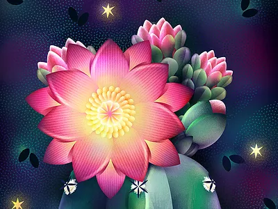 Midnight botanical cactus digital flower garden illustration natural night plants star succulent