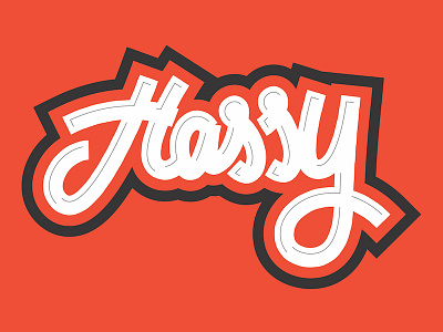 Hassy branding colorful graphic design hassy illustrator lettering