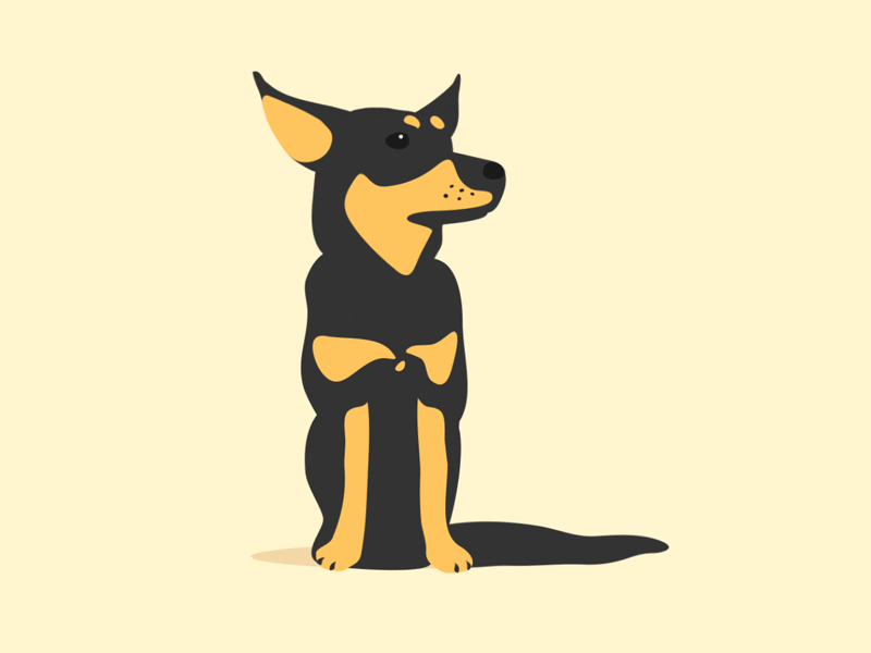 Dog & dribbble ball 2d animation ball dog dribbble illustration