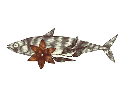 Mackerel color draw fish flower food illustration mackerel nature ocean outdoor pencil photoshop