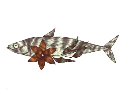 Mackerel color draw fish flower food illustration mackerel nature ocean outdoor pencil photoshop