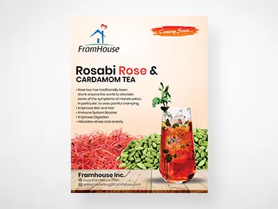 simple herbal products flyers designed by Go-designy by designed flyers go designy herbal products simple