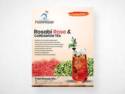 simple herbal products flyers designed by Go-designy by designed flyers go designy herbal products simple