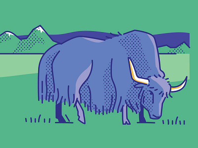 Yak animal illustration line