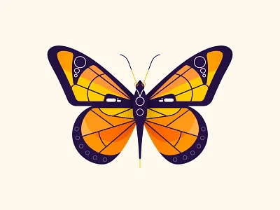 Butterfly bugs butterfly character draw illustrator insects