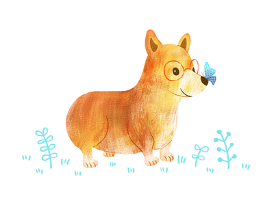 Corgi butterfly corgi cute dog doggie illustration ipad illustration procreate