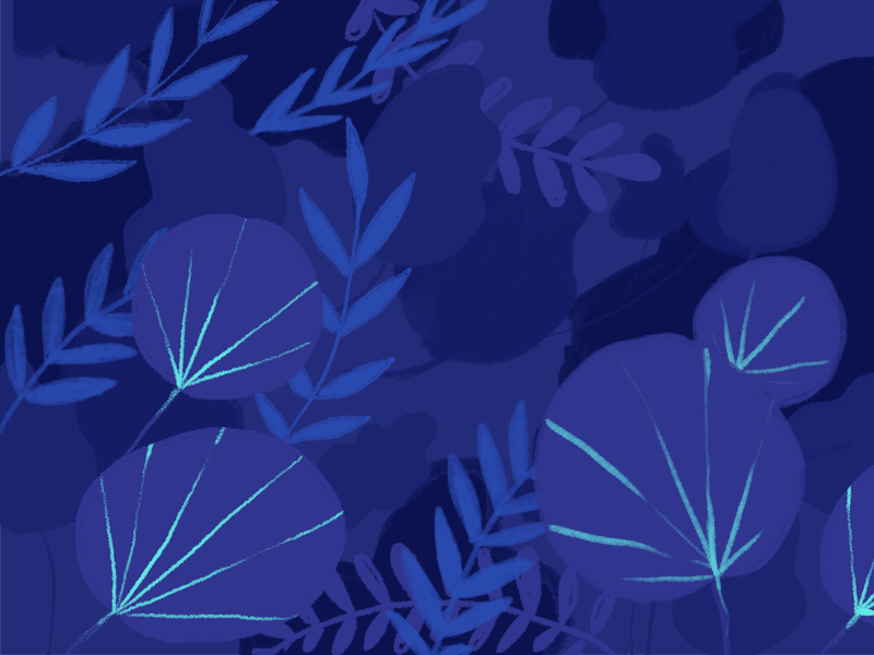 Minnaminni (firefly) firefly fly forest glow jungle leaves lights