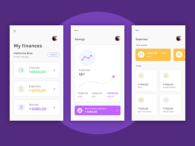 Finances App Concept app color concept expenses finances savings