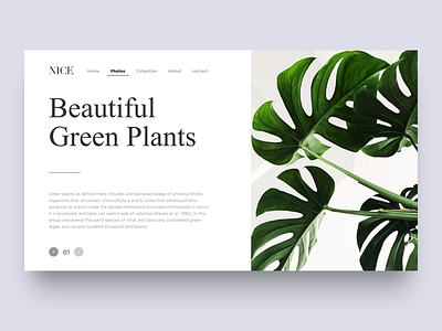 Beautiful Green Plants brand design layout simpl type typography white