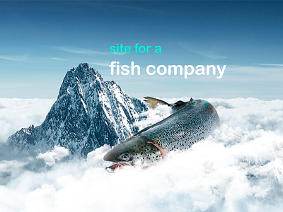 RibaHit fish-company factory fish fish company food online store production sea ui ux