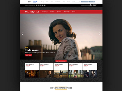 Masterpiece front end development web design wordpress