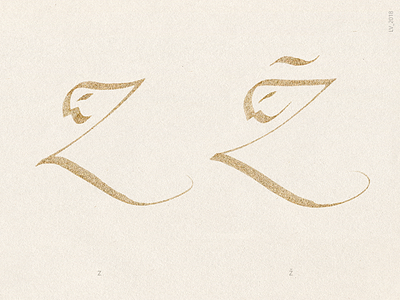 FACES OF LETTERS: Z and Ž alphabet calligraphy design hand ink language latin letter lithuanian type writing