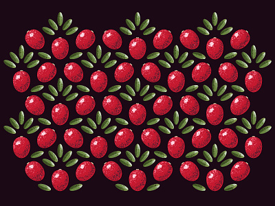 Cranberry pattern adobe berries cranberry illustration illustrator pattern plant vector