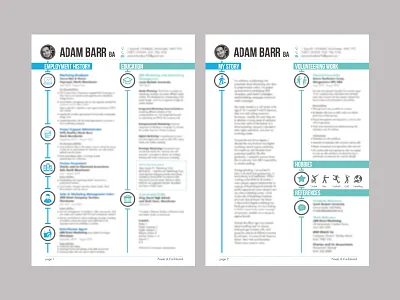 Infographic CV Design biography cv cv design info infographic job hunting