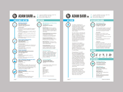 Infographic CV Design biography cv cv design info infographic job hunting