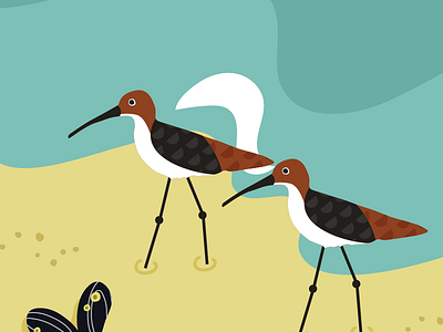 Dutch islands beach birds editorial environment illustration illustrator island nature sea wildlife