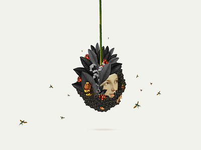 Origen | Collage serie 002 animal art collage collageart collages design illustracion illustration photoshop plants