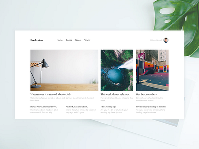 Bookerino Site Design books minimal ui ux website