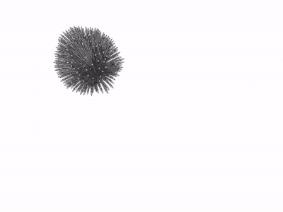Radix Systema - An Interactive Algorithmic Installation algorithm creative coding digital art interaction media arts programming
