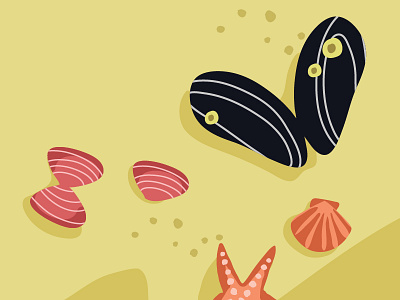 Dutch Islands II beach close up editorial illustration illustrator island nature sand sea shadows shell star