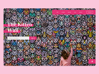The kitten wall 2d adobexd dailyui illustrator landingpage photoshop ui uiux ux web adobe
