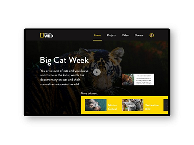 Natgeowild debut ui user experience user interface ux