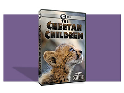 Nature DVD – Cheetah Children