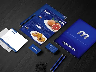Agromax Corporate design brochure business cards corporate design electric blue