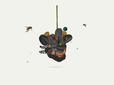 Origen | Collage serie 002 animal art collage collageart collages design illustracion illustration photoshop plants
