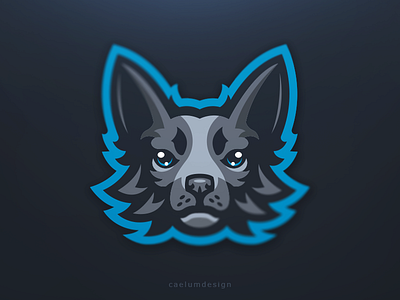 Chihuahua branding caelum dog esport hiwow identity logo mascot sport