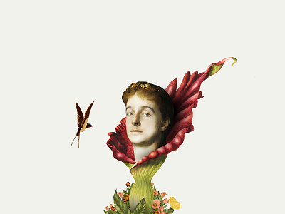Origen | Collage serie 002 animal art collage collageart collages design illustracion illustration photoshop plants