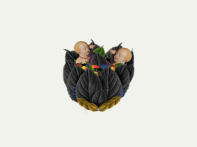 Origen | Collage serie 002 animal art collage collageart collages design illustracion illustration photoshop plants