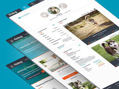 Fitdog app blue bright cards desktop dog interface light profile ui web website