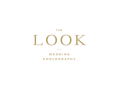 Branding | Photographer branding classic gold logo design minimal photographer simple sleek striking wedding