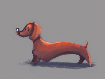 Doggy animals character design pets