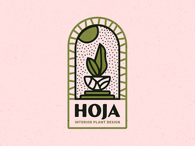 Hoja Branding hoja interior plants window