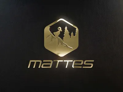 Mattes branding corporate identity graphic design illustrator logos vector art