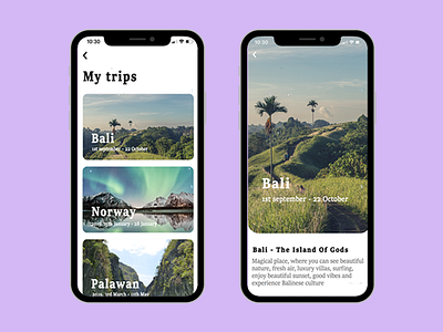 Travel App mobile ui ux