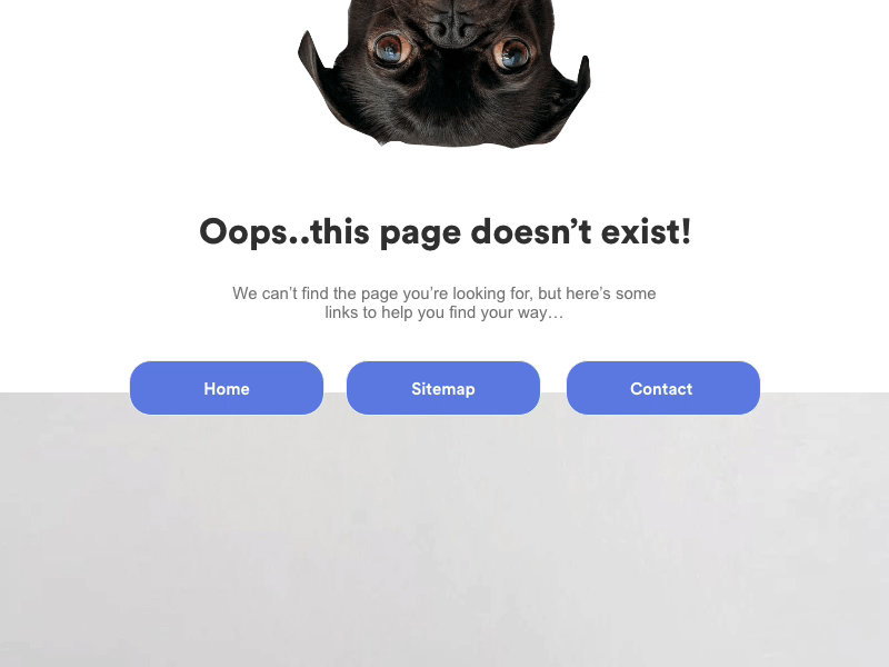 Daily UI #008 - 404 Page 404 animation app blue dailyui dailyui008 dog user interface ux web