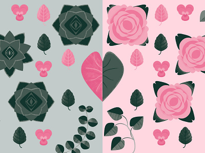 Plants & Roses flower garden green leaf pattern pink plant rose succulent valentine