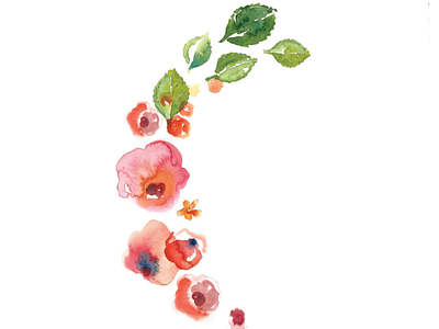 Floral sketch branding floral illustration sketch watercolor