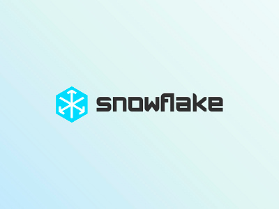 Snowflake logo brand branding cloud company design designer logo mark snowflake storage warehouse