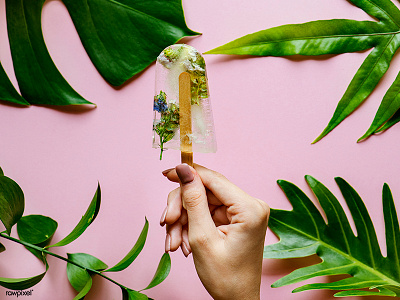 Homemade summer wildflower ice pop cool flower freeze healthy homemade nature sweet tropical