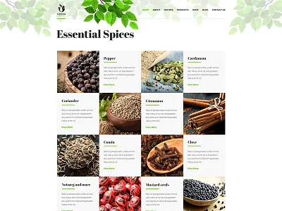 Essential Spices Gallery android creative designs deibbble dribbble invite invite logo photoshop psd psd designs uiux web web design