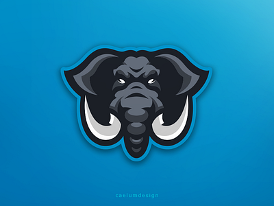 Elephant branding caelum esport hiwow identity logo mascot sport